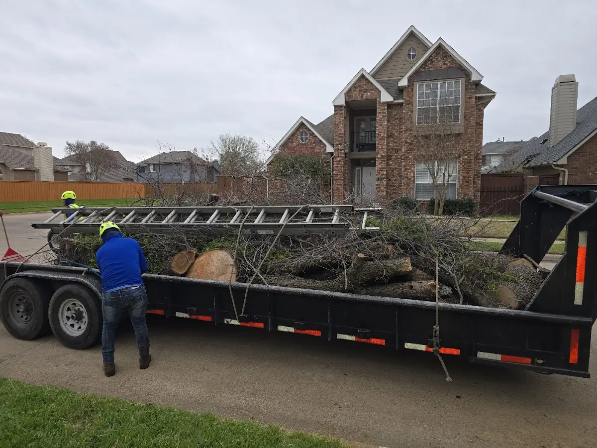 Expert Tree Pest Control with proper safety equipment in Choudrant